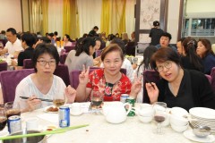 mmc_9478_54620435673_o-Large