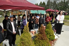 mmd_4796_55264580156_o-Large-Custom