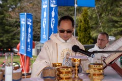 DSC05172A