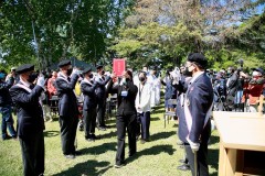 IMG_1872-Medium
