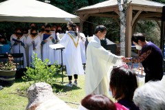 IMG_1981-Medium