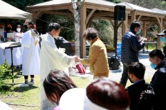 IMG_1982-Medium